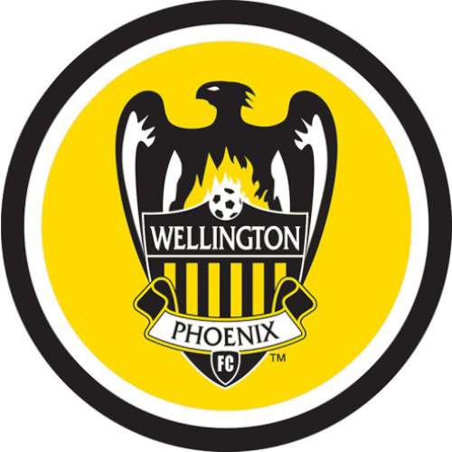Wellington Phoenix Edible Icing Image - Round - Click Image to Close